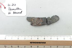 Sichelfragment
