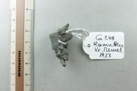 Armringfragment