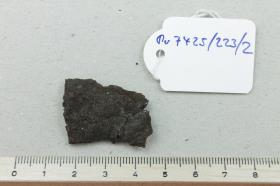 Sichelfragment