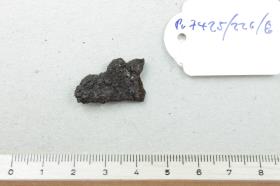 Sichelfragment