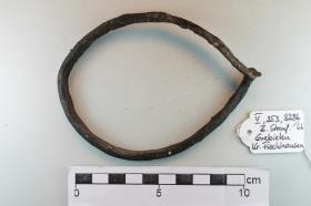 Halsringfragment
