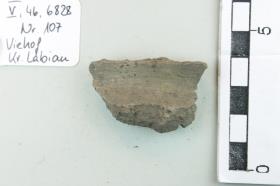 Gefäßfragment