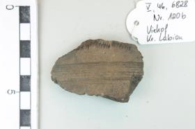 Gefäßfragment