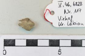 Leichenbrand mit Knochen-Fragment