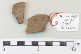 Gefäßfragment