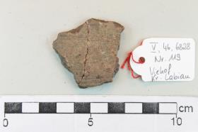 Gefäßfragment