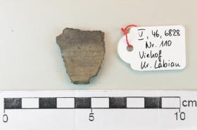 Gefäßfragment