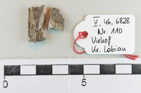 Leichenbrand mit Knochen-Fragmente