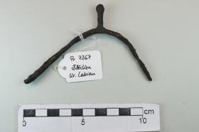 Stachelsporn