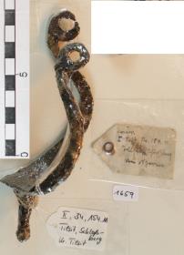 Radsporn