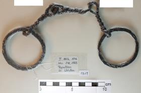 Ringtrense