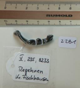 Eisenringfragment