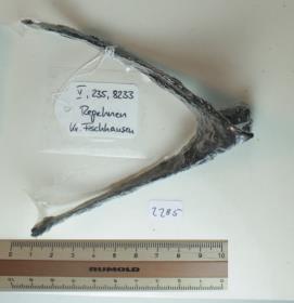 Radsporn