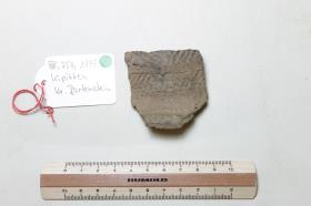 Gefäßfragment