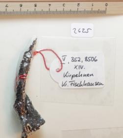 Steigbügelfragment