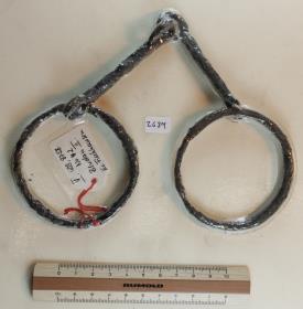Ringtrense