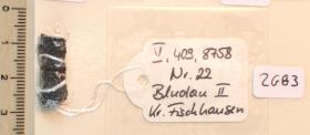 Gürtelschnallenfragment
