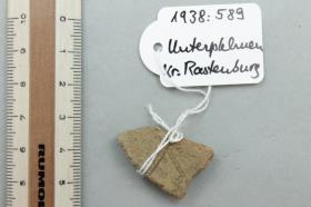 Gefäßfragment