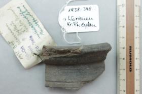 Gefäßfragment
