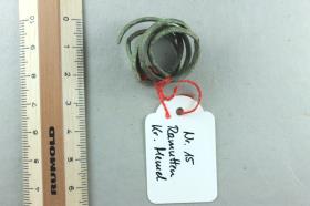 Spiralfingerring