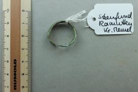 Fingerring