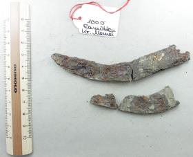 Sichelfragment