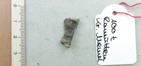 Gürtelriemenfragment