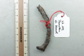 Eisenfragment