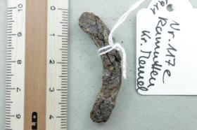 Ringfragment
