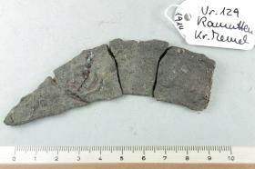 Sichelfragment