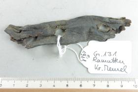 Gürtelriemenfragment