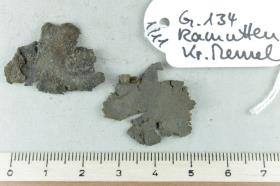 Lederfragment