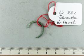 Ringfragment