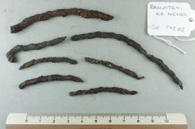 Halsringfragment
