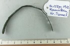 Stachelspornfragment