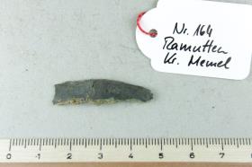 Gürtelriemenfragment