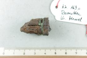 Holzstab mit Resten von Bronzeringen