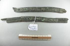 Gürtelriemenfragment