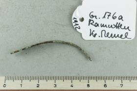 Ringfragment