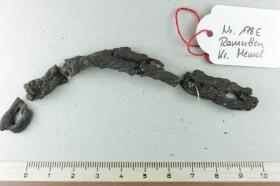Halsringfragment