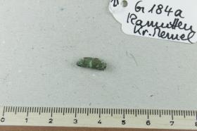 Halsringfragment