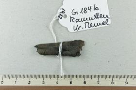 Lederfragment