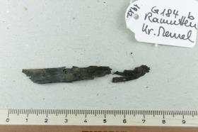 Lederfragment