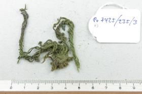 Textilfragment