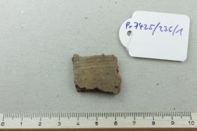 Gefäßfragment