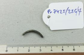 Ringfragment