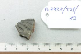 Gefäßfragment