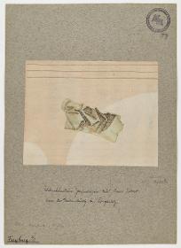 Gewandfragment