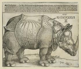 Das Rhinozeros