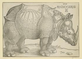 Das Rhinozeros